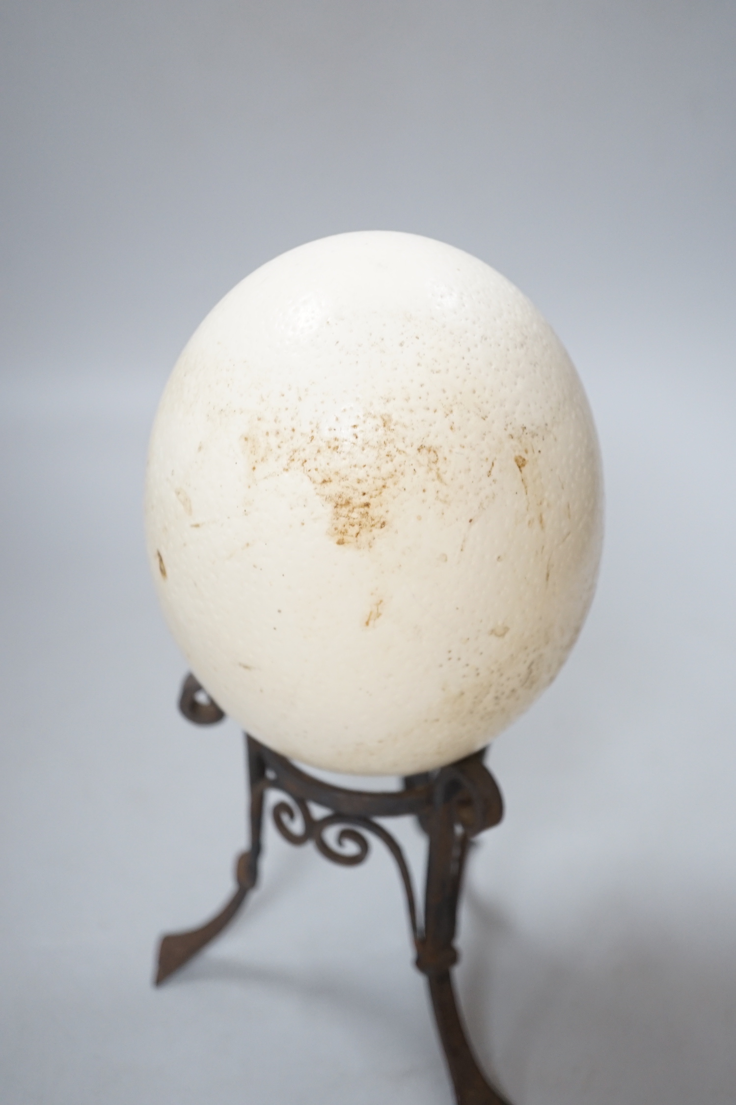 An ostrich egg on wrought iron stand, 29cm